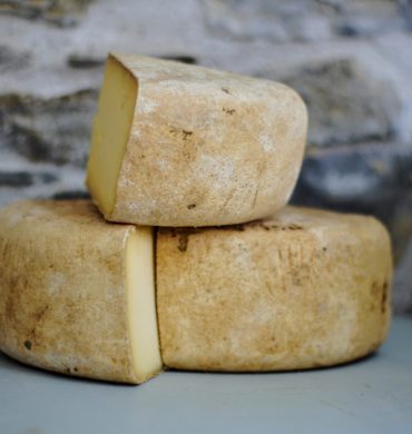 online cheese tasting