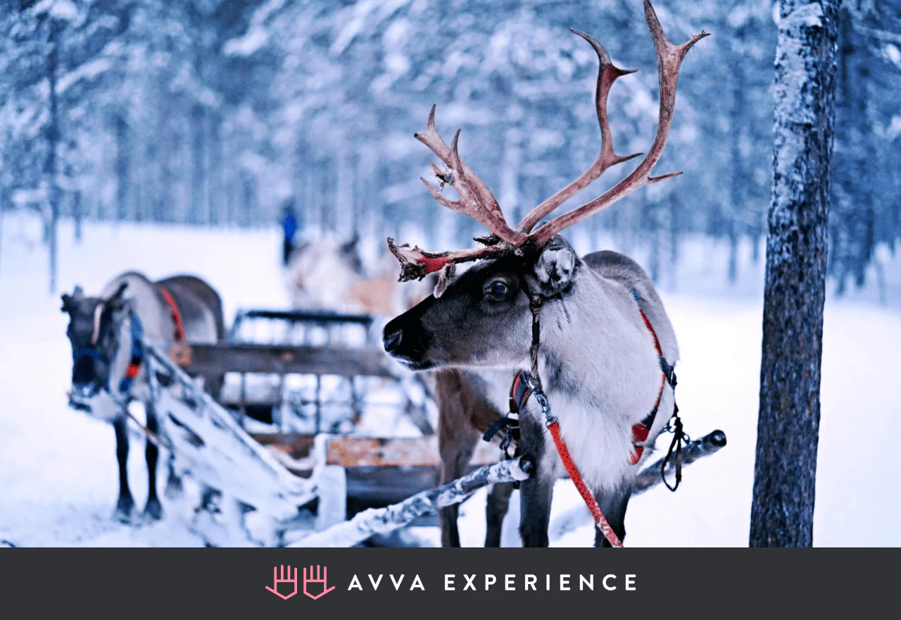 reindeer racing is one of the virtual team building activities