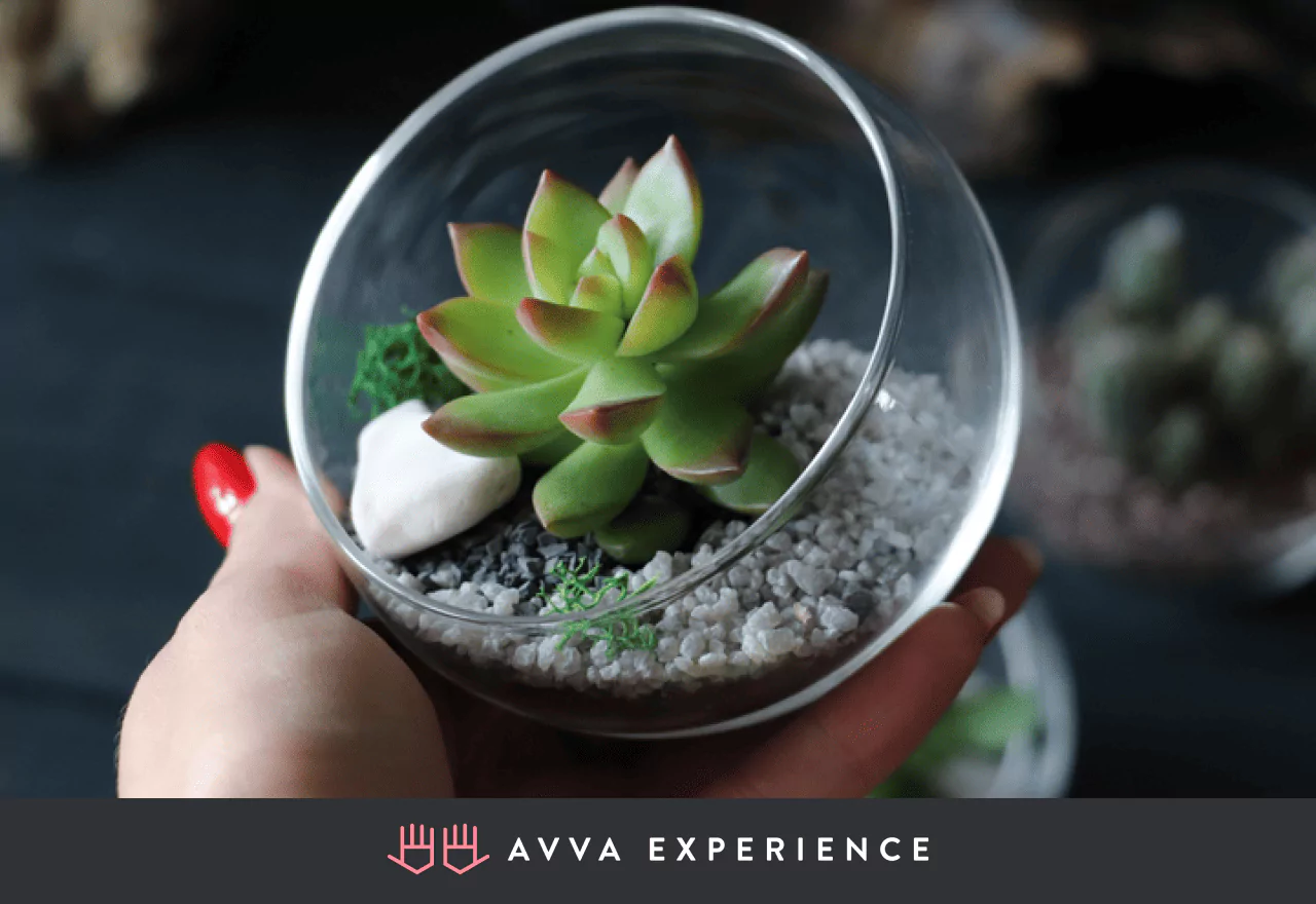 terrarium workshop is one of the top holiday virtual team building activities