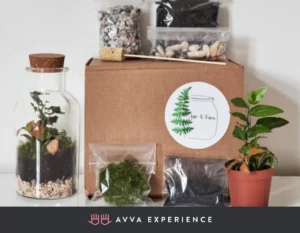 Online Interactive Terrarium Building Workshop