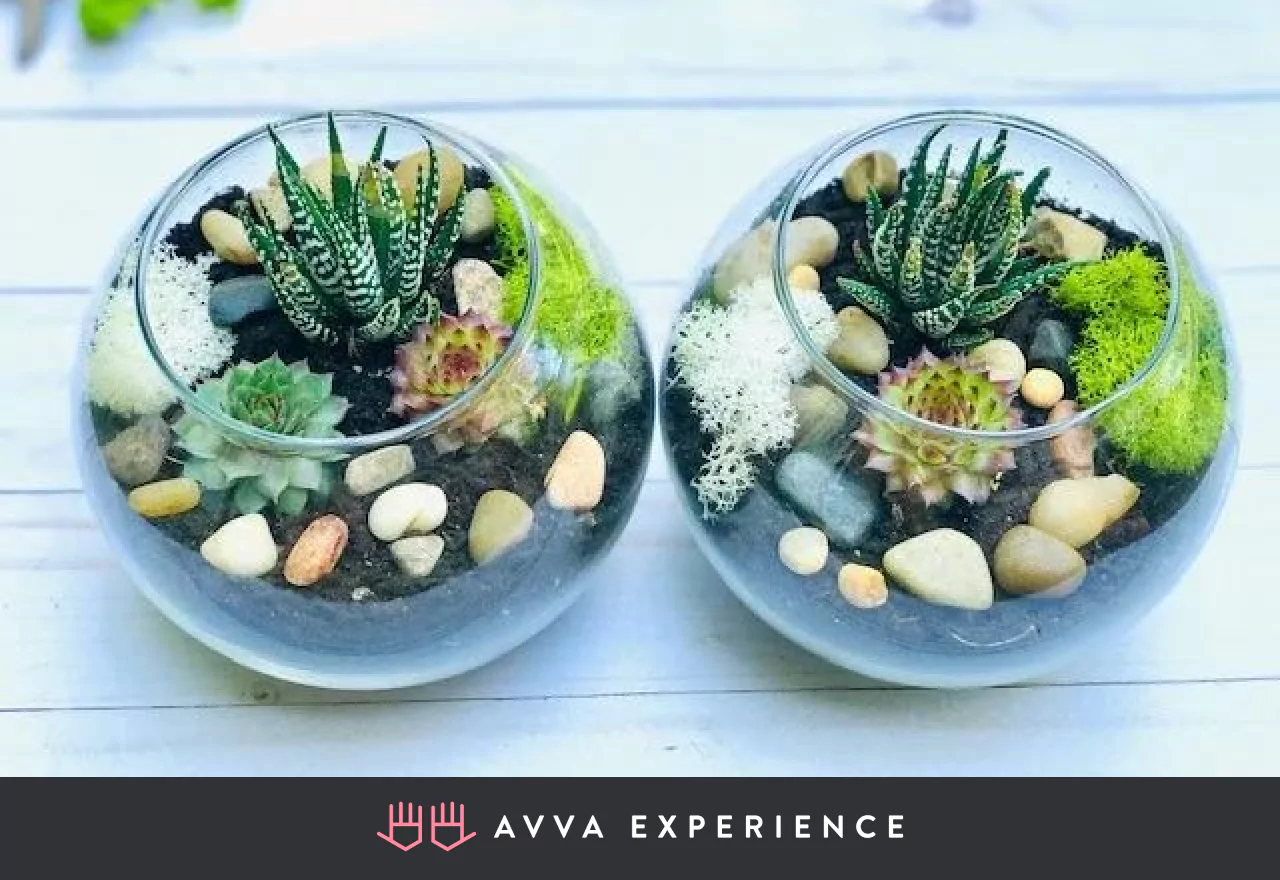 Virtual Corporate Events Ideas Learn To Plant A Succulent Terrarium: A Virtual Workshop