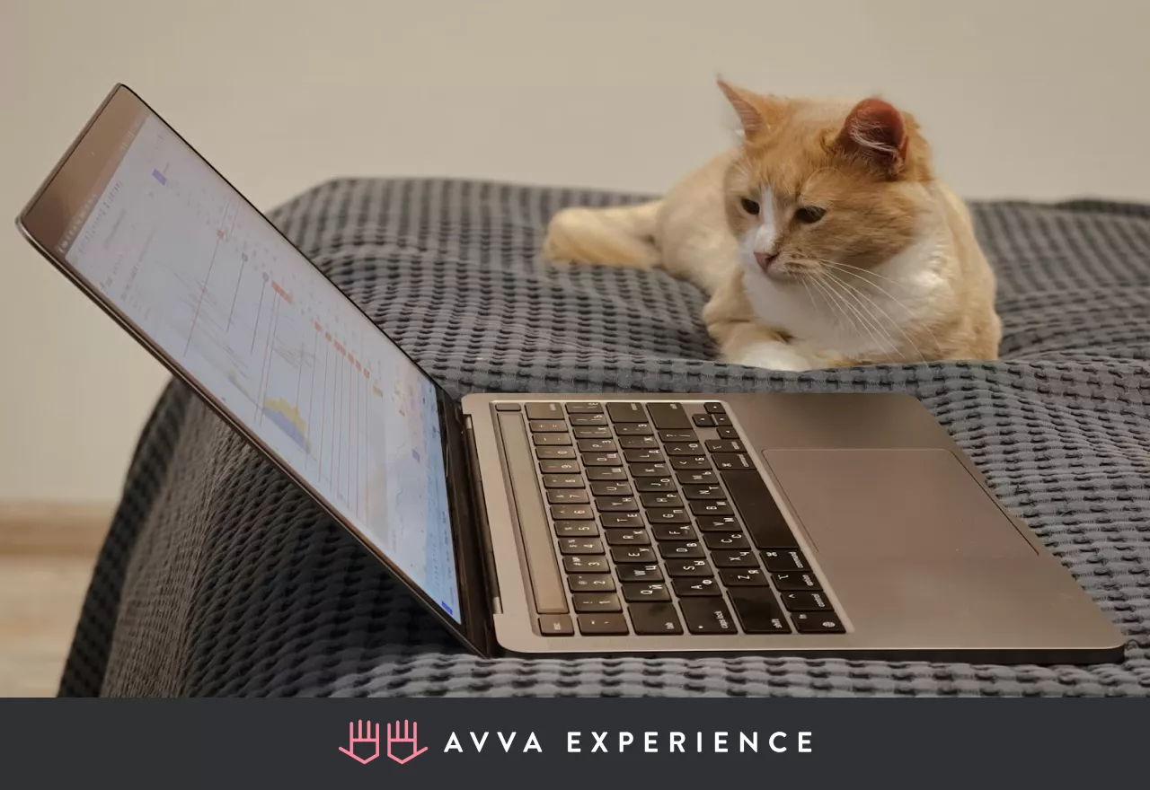 A cat sitting beside an open laptop