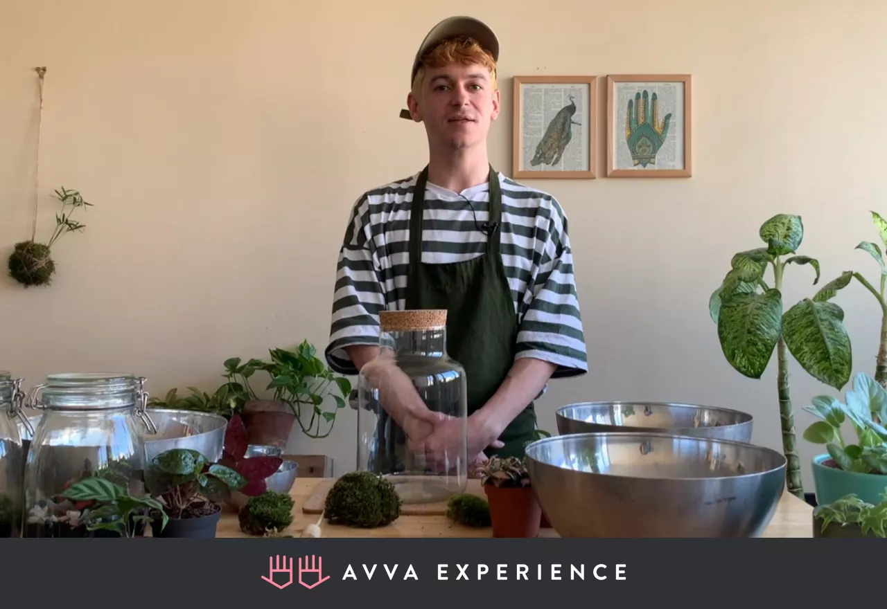 Online succulent terrarium building workshop among virtual Valentine's Day ideas
