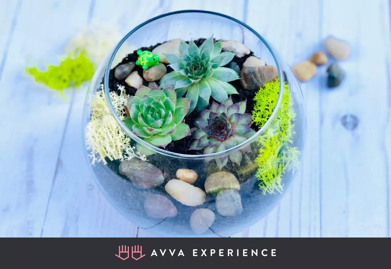 How to plant a succulent terrarium workshop for improving employee efficiency How to plant a succulent terrarium workshop for improving employee efficiency
