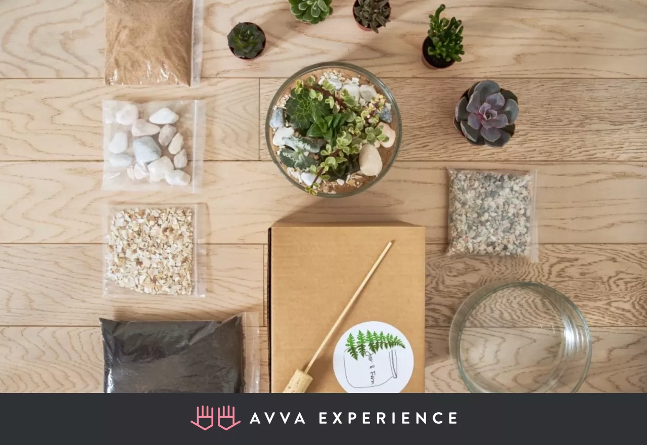 Succulent terrarium kit with plants, sand, and decorative layers