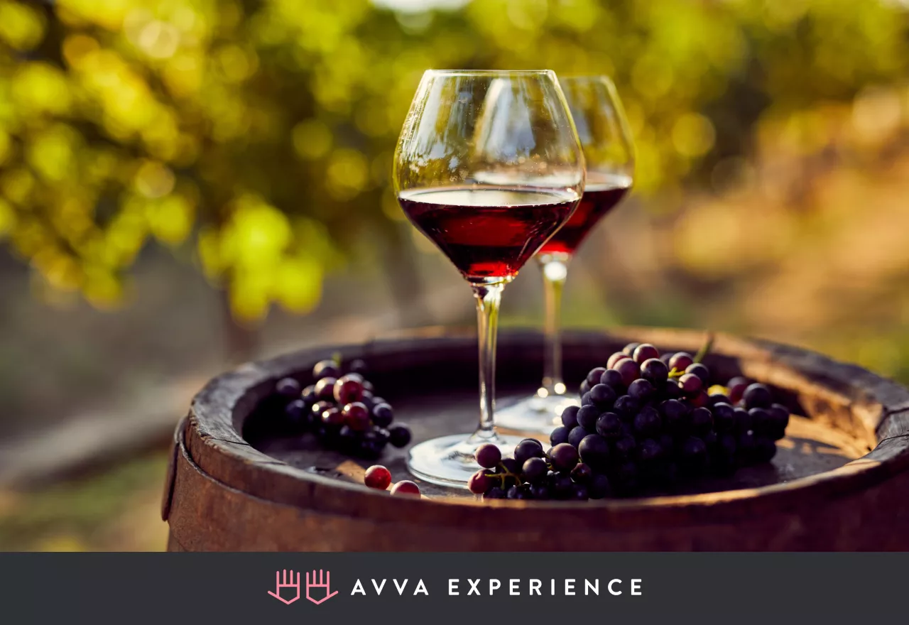 A delicious spread of wine, cheeses, and treats
