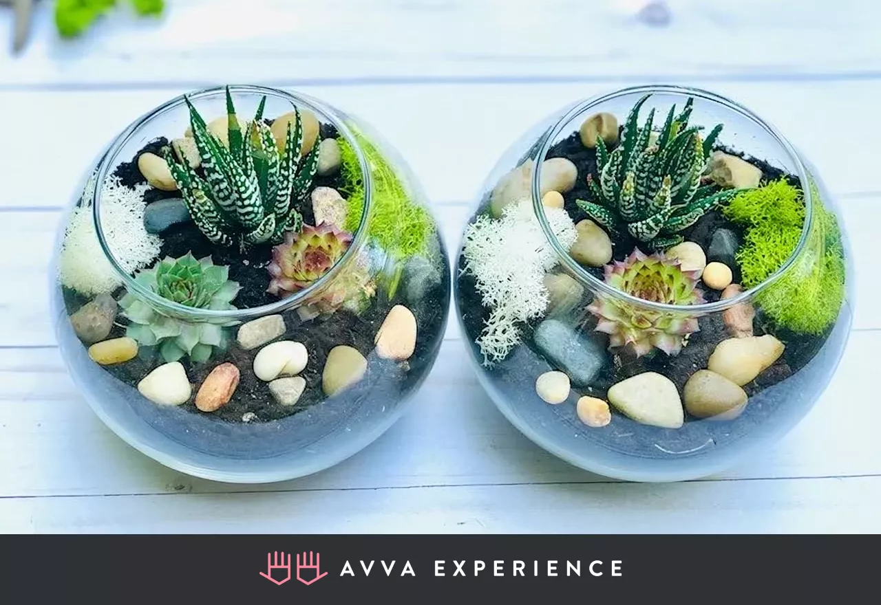 A succulent terrarium showing that terrarium making is a fun and creative virtual workshop activity