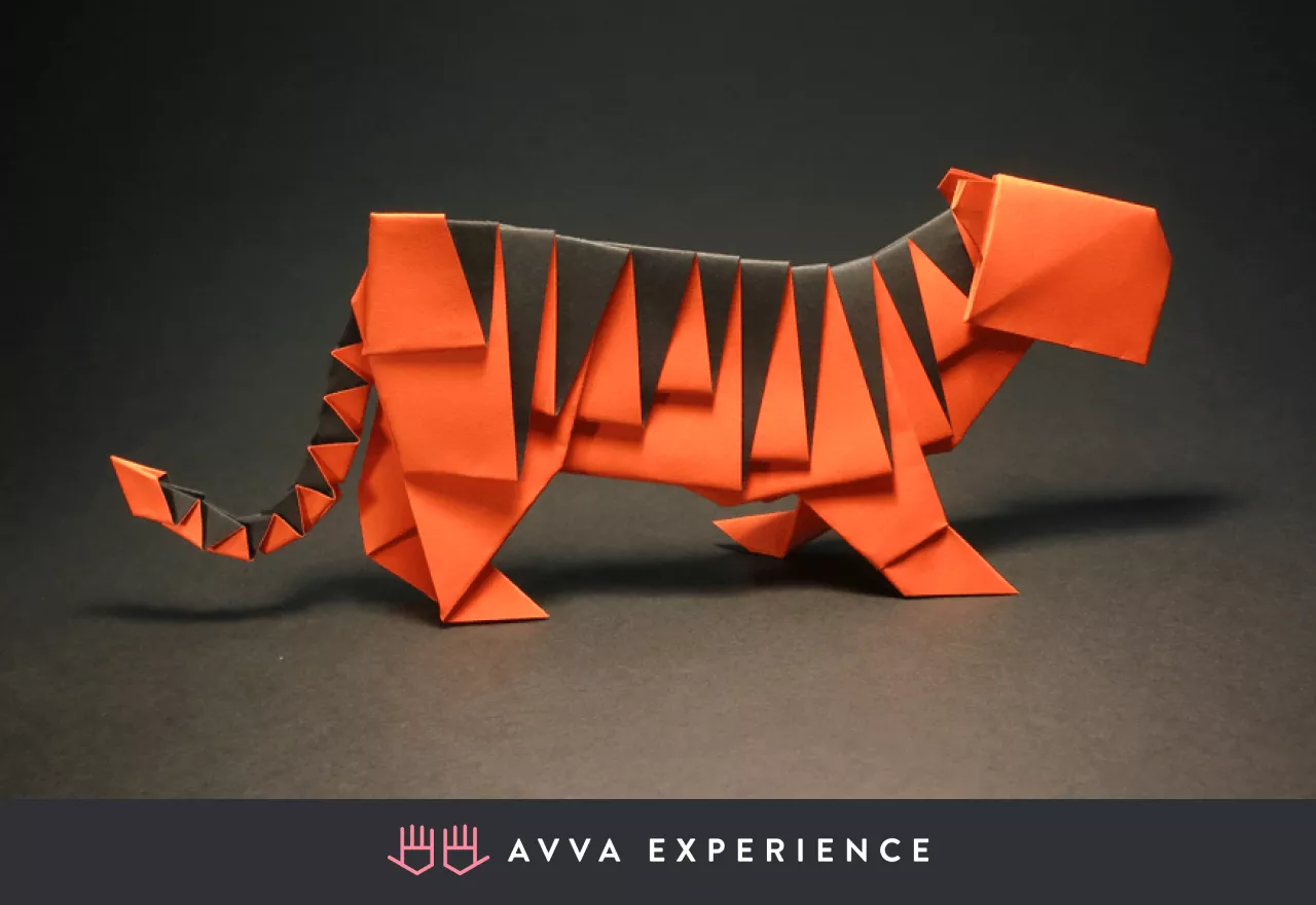 Virtual Origami Workshop among AAPI activities