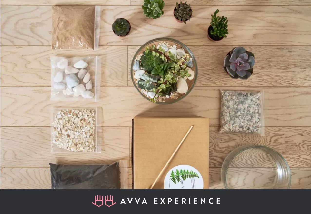 A kit for online Succulent Terrarium Workshop