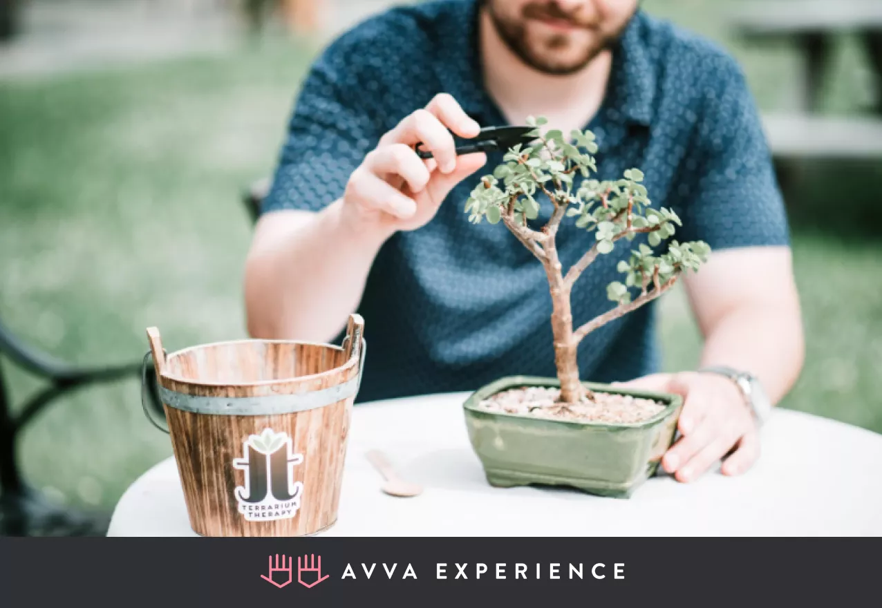 Bonsai Workshop among mental health activities