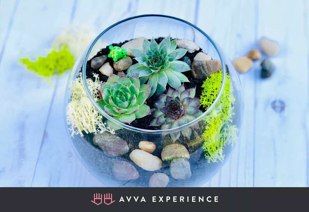 Succulent Terrarium workshop for b2b clients