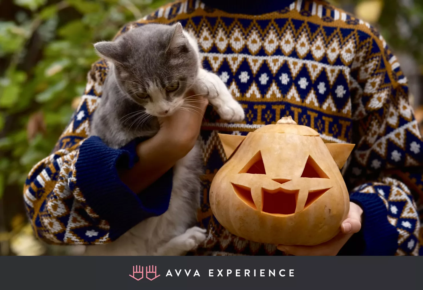 cat and a Halloween pumpkin
